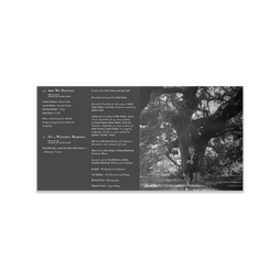 12th of June  - CD alt